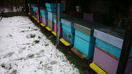 Kempische kasten, winterrust