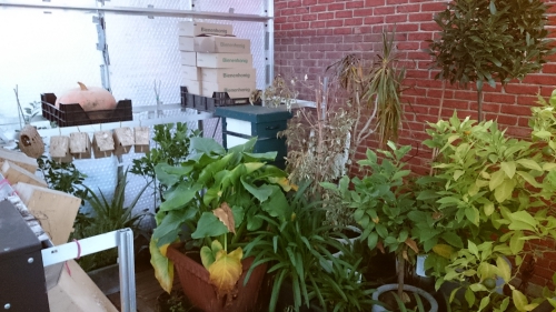 serre, winteropslagplaats