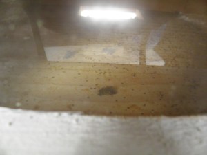 ecokast, oxaalzuur, mijtenval