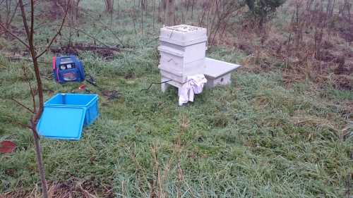 varroa, ecokast, varoxverdamper