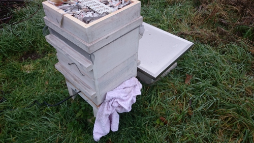 varroa, ecokast, varoxverdamper