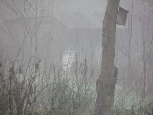 ecokast in decembermist