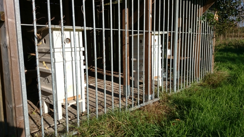 bijenstal, ecokasten