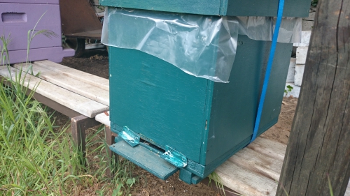 aflegger in zesramer