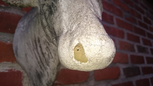 metselbij