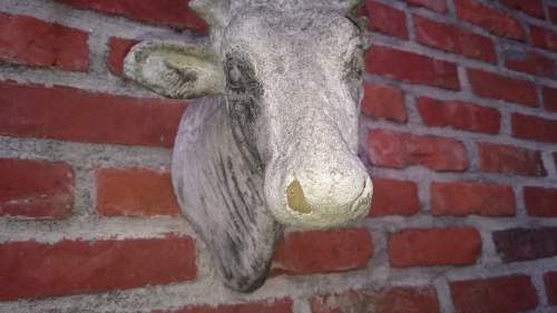 metselbij